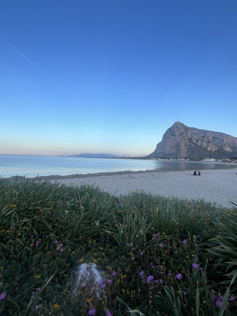 Mediterrane Küstenvegetation mit Wildblumen am Strand von San Vito Lo Capo, dahinter das ruhige Meer und der Monte Monaco in der Abenddämmerung.