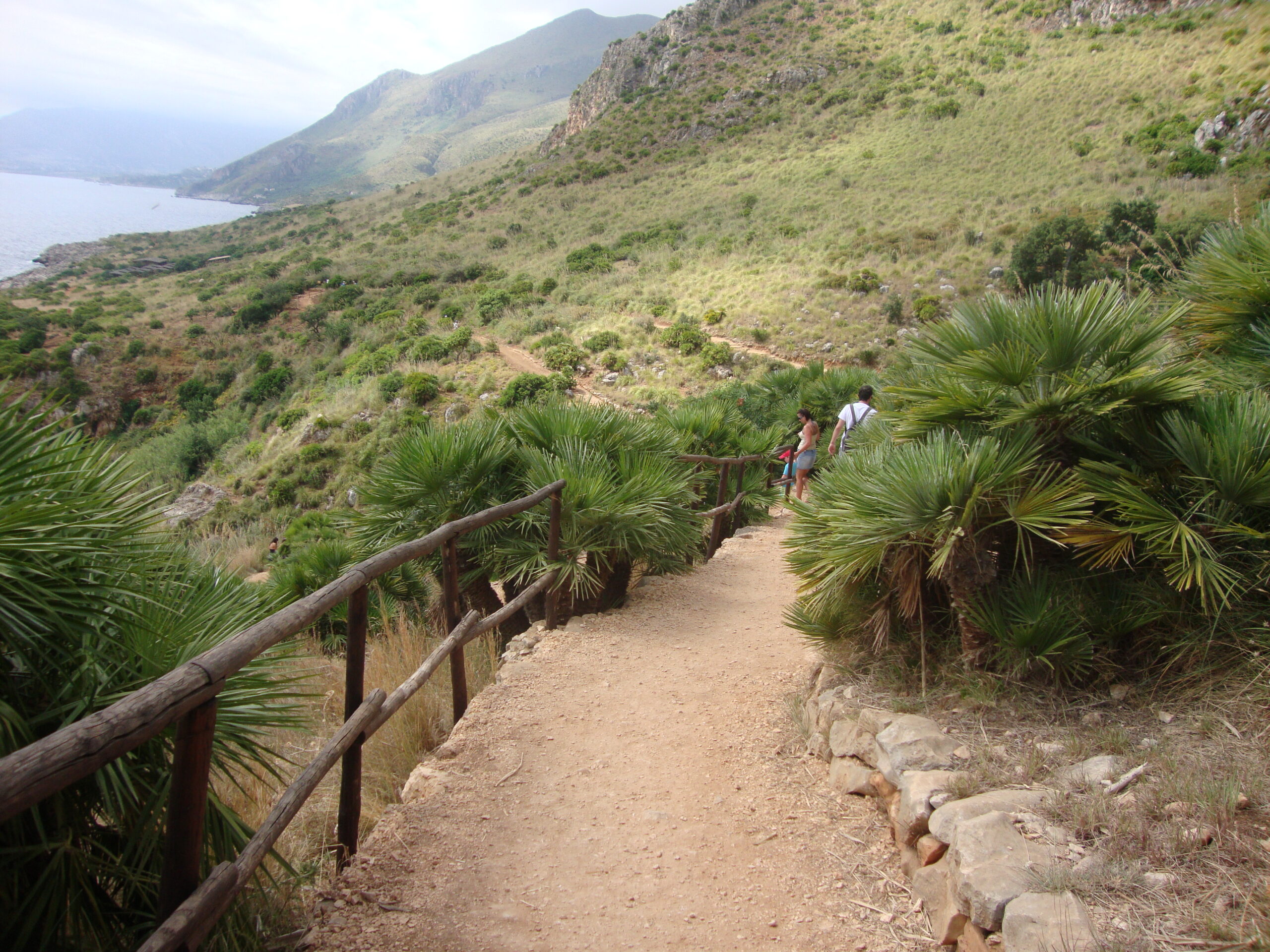 Wanderweg im Naturreservat Zingaro mit Holzgeländer, Zwergpalmen und Blick auf die hügelige Küstenlandschaft sowie das Mittelmeer in Sizilien.
