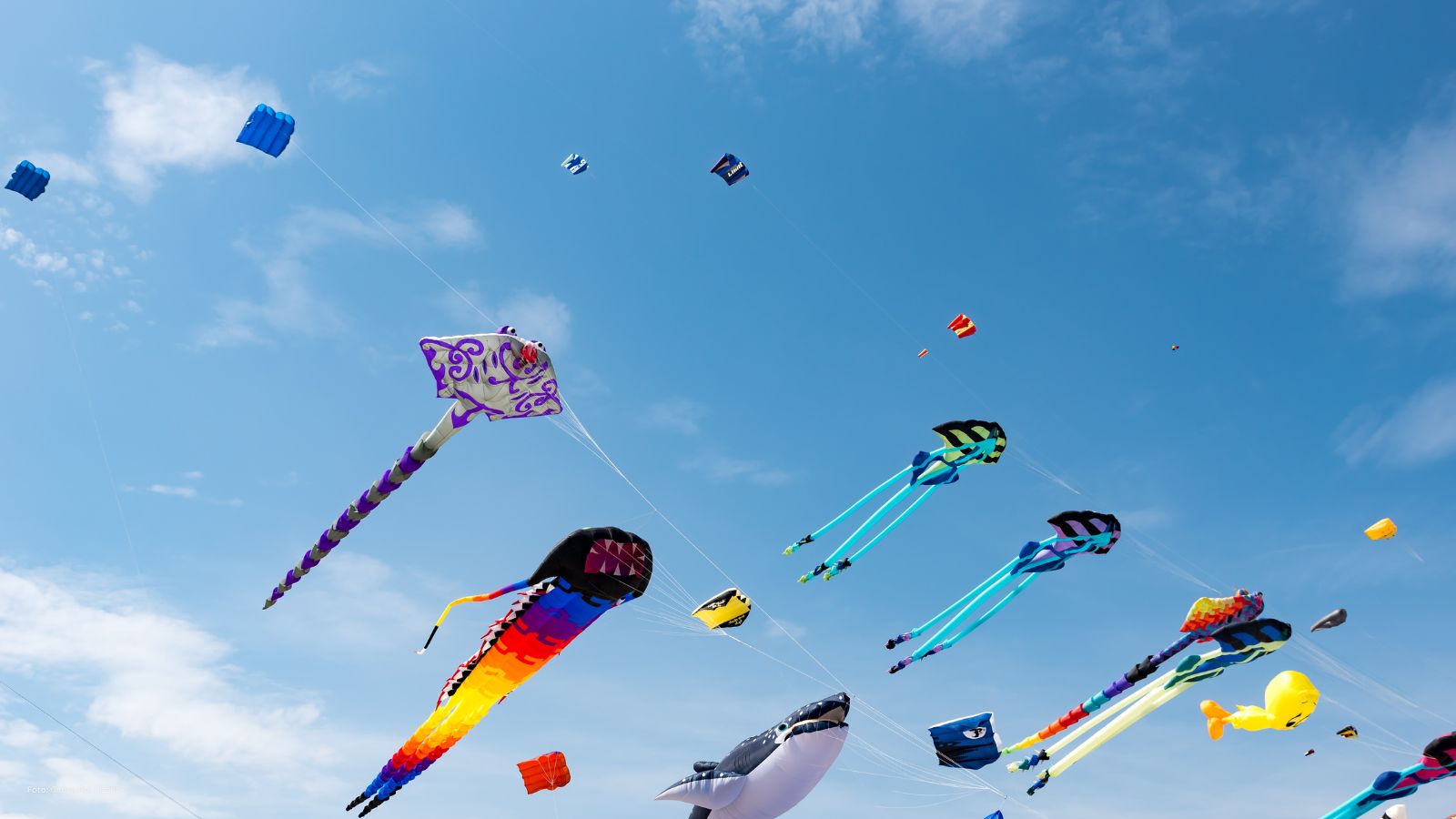 Farbenfrohe Drachen verschiedener Formen und Größen fliegen beim Internationalen Drachenfestival über dem Strand von San Vito Lo Capo vor blauem Himmel.