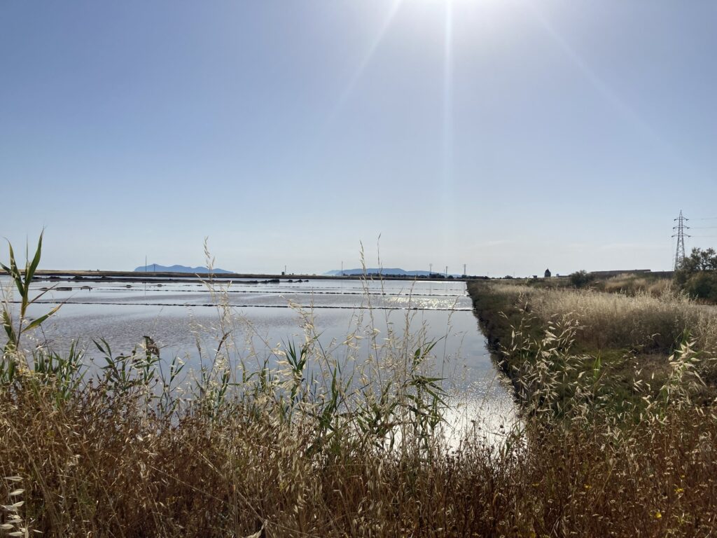 Salzbecken der Salinen von Trapani mit Wasserflächen, Schilf und traditioneller Salzlandschaft an der Küste Westsiziliens.